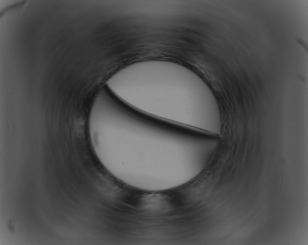 X0000096650269200802050941