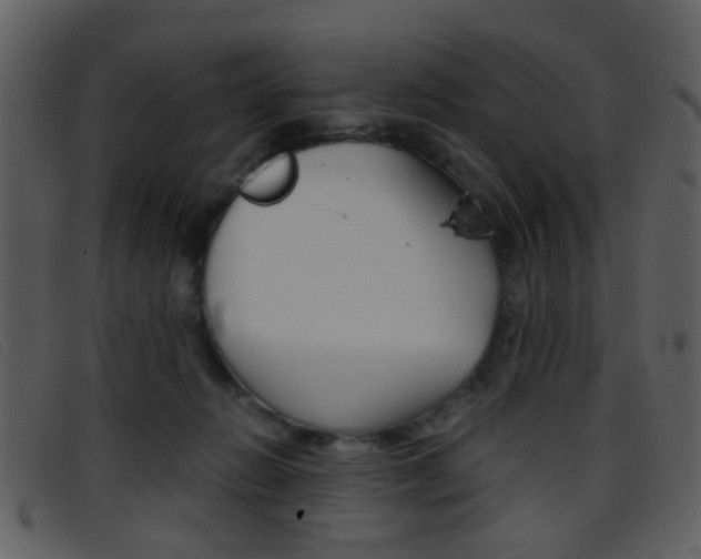 X0000096650270200802050941