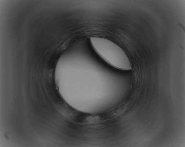 X0000096650271200802050941