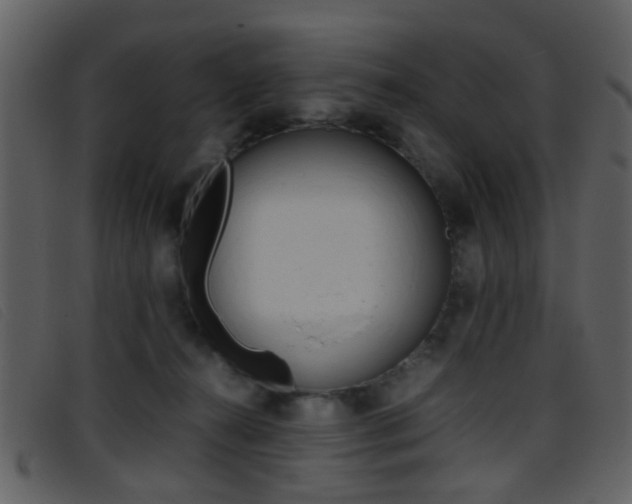 X0000096650272200802050941