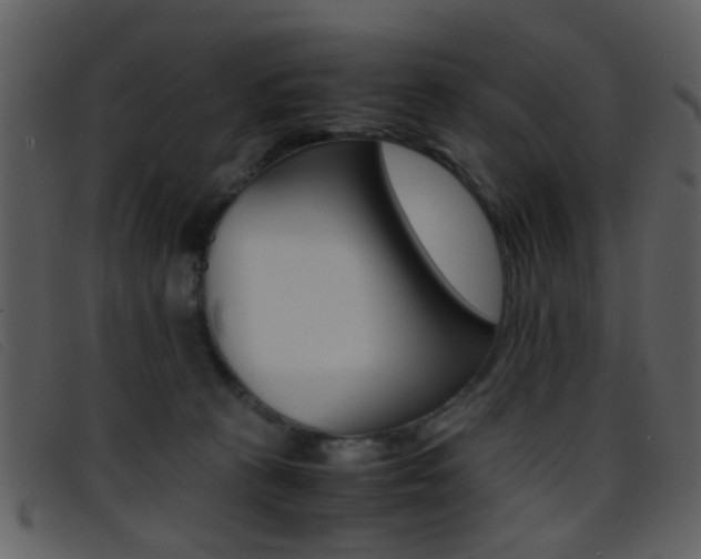 X0000096650273200802050941
