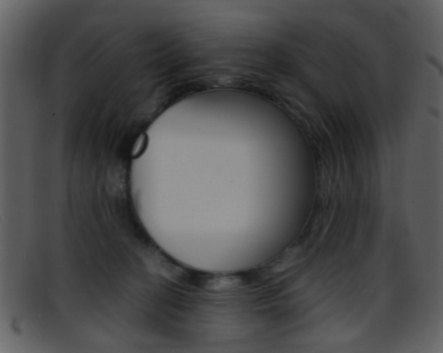 X0000096650274200802050941