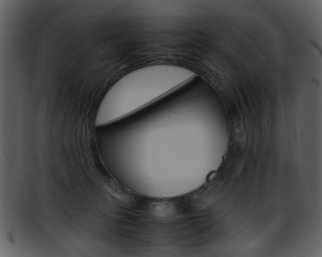 X0000096650275200802050941