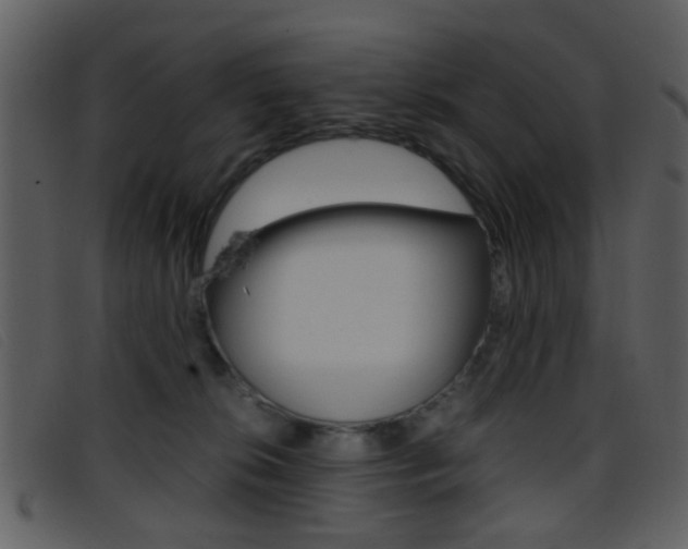 X0000096650276200802050941