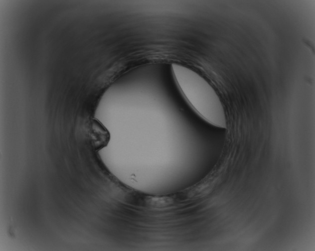 X0000096650277200802050941