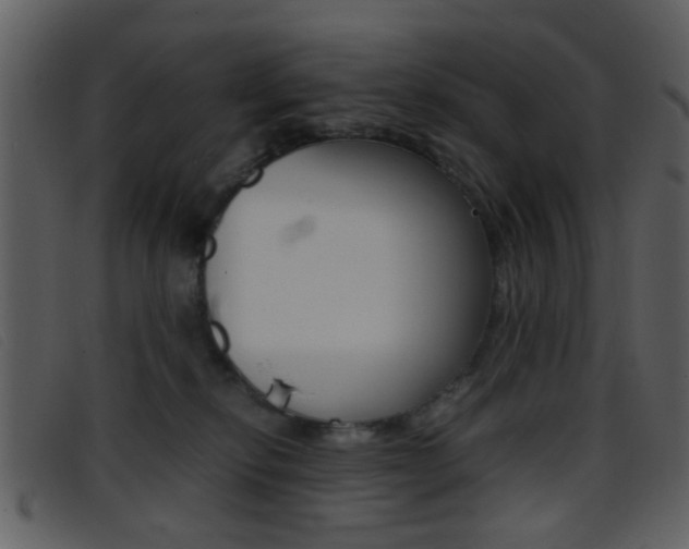 X0000096650278200802050941
