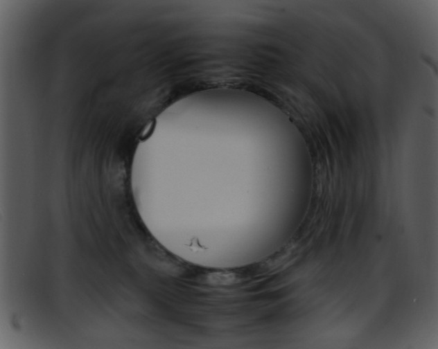X0000096650279200802050941