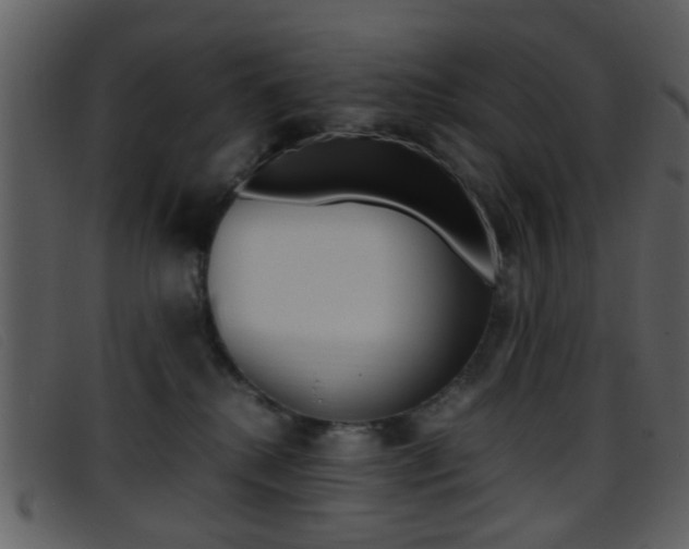 X0000096650280200802050941