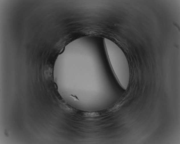 X0000096650281200802050941