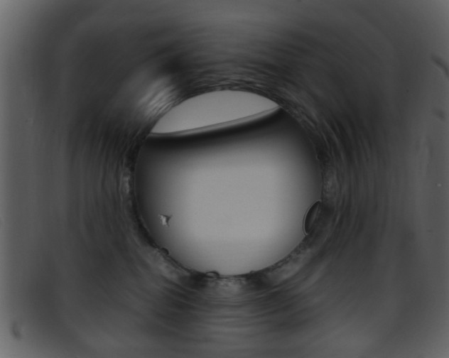X0000096650282200802050941