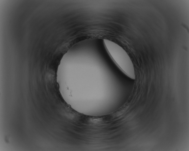 X0000096650283200802050941