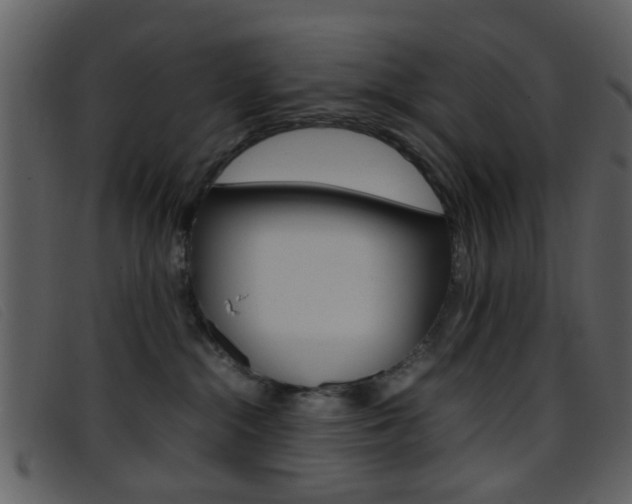 X0000096650284200802050941
