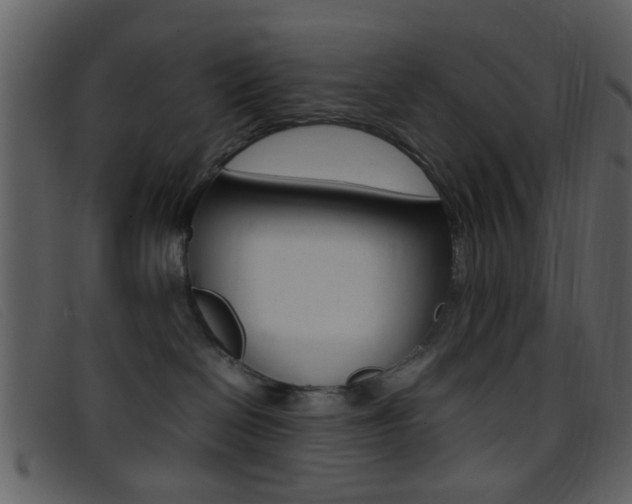 X0000096650286200802050941