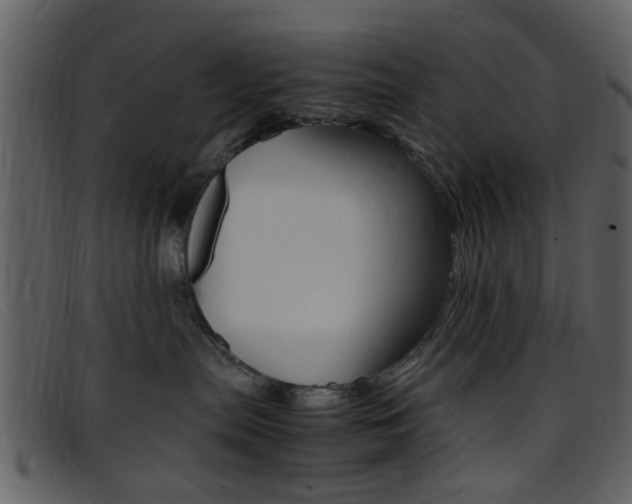X0000096650287200802050941