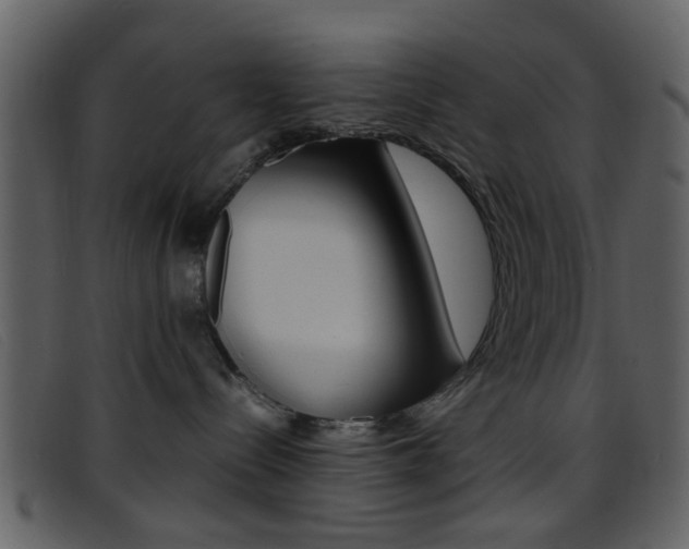 X0000096650288200802050941
