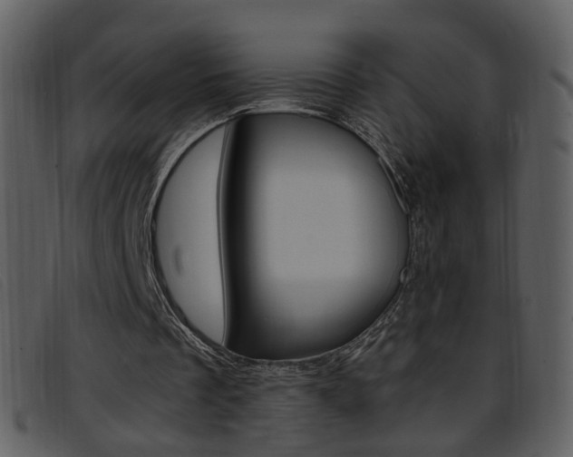 X0000096650289200802050940