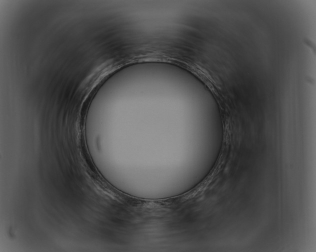 X0000096650290200802050940
