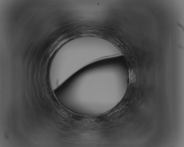 X0000096650291200802050940