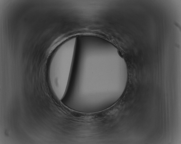X0000096650295200802050940