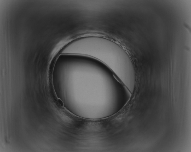 X0000096650296200802050940