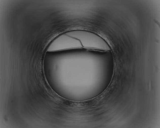 X0000096650297200802050940