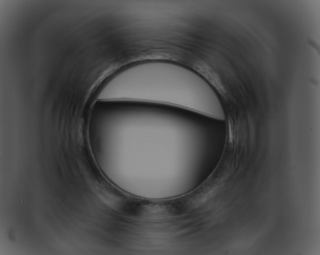 X0000096650300200802050940