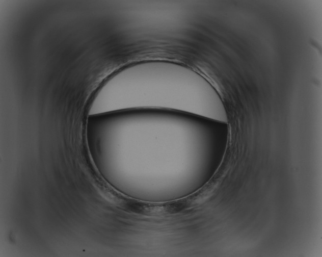 X0000096650301200802050940
