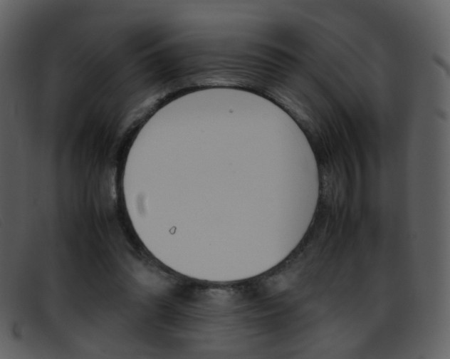 X0000096650302200802050940