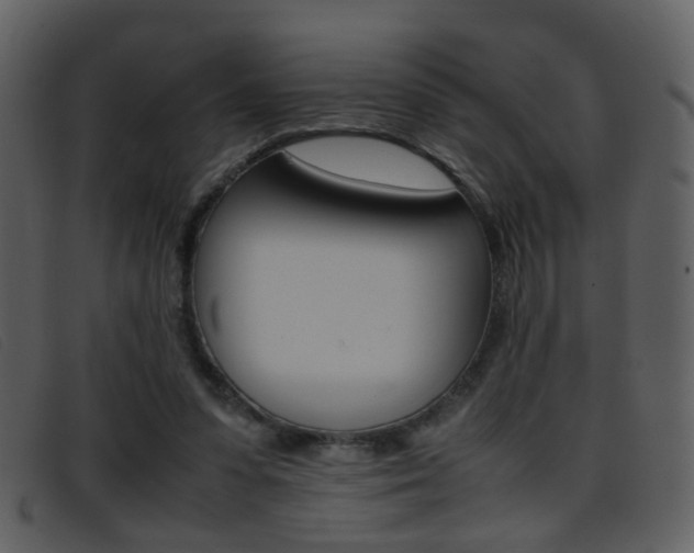 X0000096650303200802050940