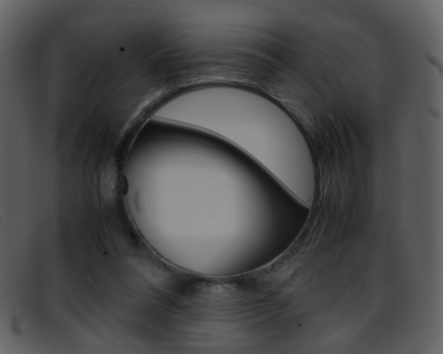 X0000096650304200802050940