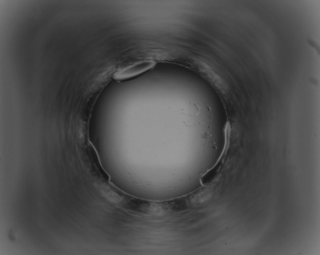 X0000096650305200802050940