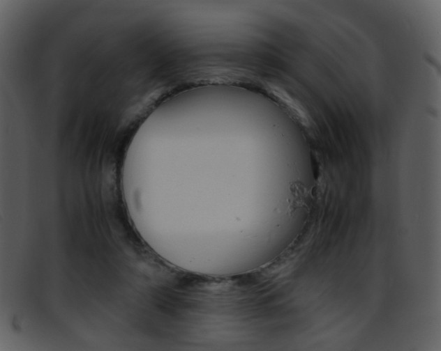 X0000096650306200802050940