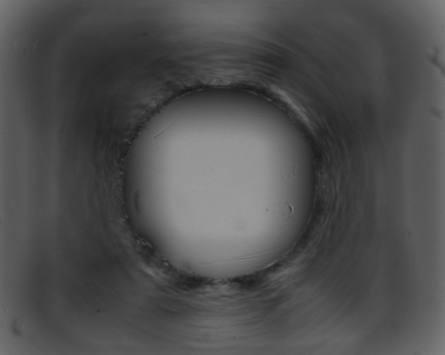 X0000096650307200802050940