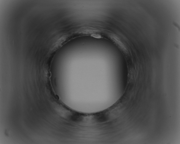 X0000096650309200802050940
