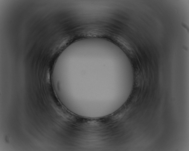 X0000096650310200802050940