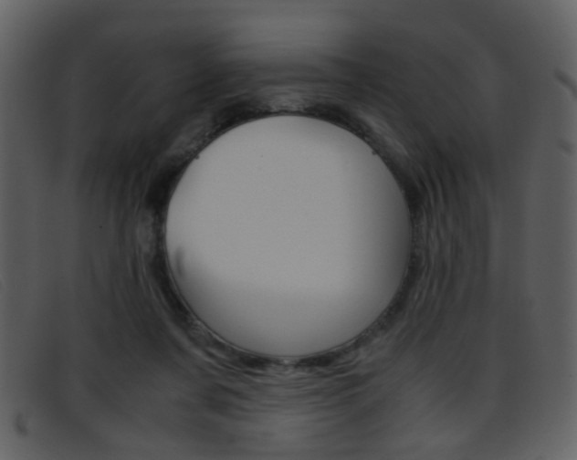 X0000096650311200802050940
