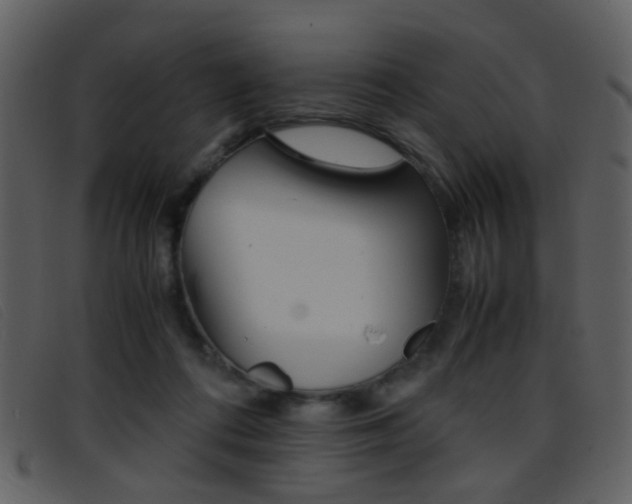 X0000096650312200802050940