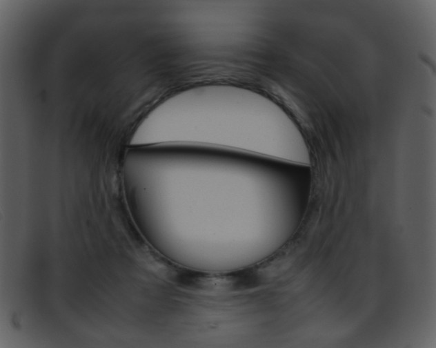 X0000096650313200802050940