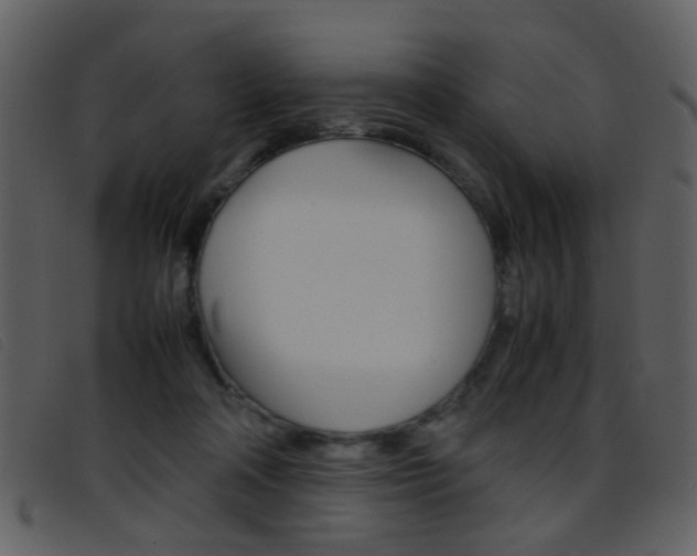 X0000096650314200802050940