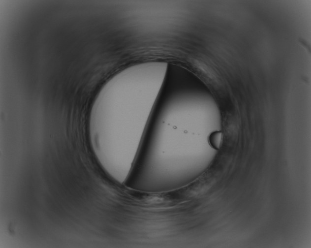 X0000096650315200802050940