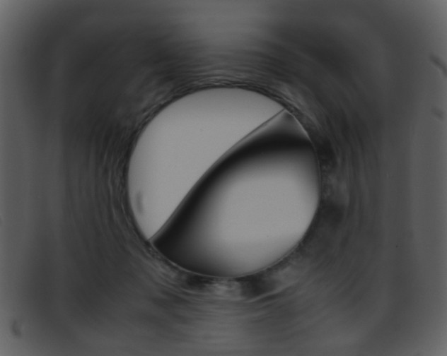 X0000096650317200802050940