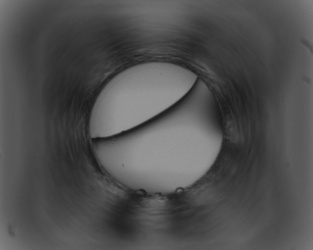 X0000096650318200802050940