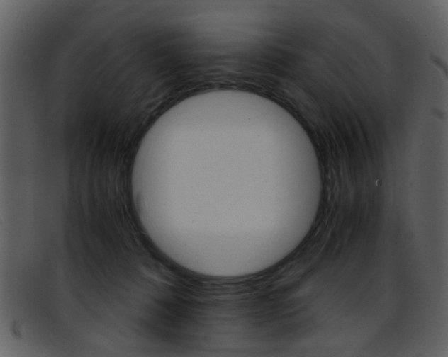 X0000096650320200802050940