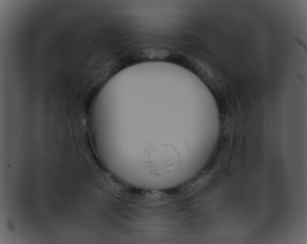 X0000096650321200802050940