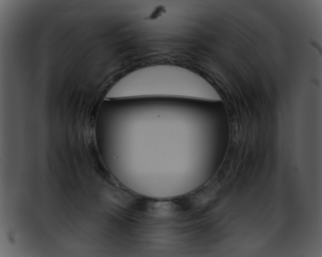 X0000096650324200802050940