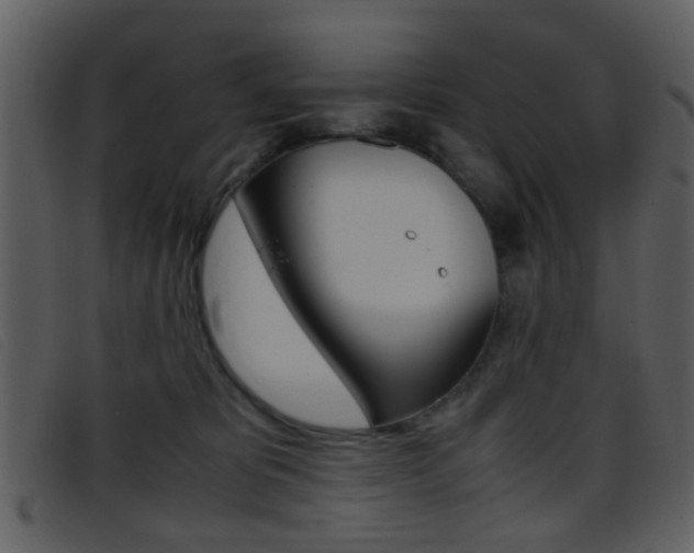 X0000096650325200802050940