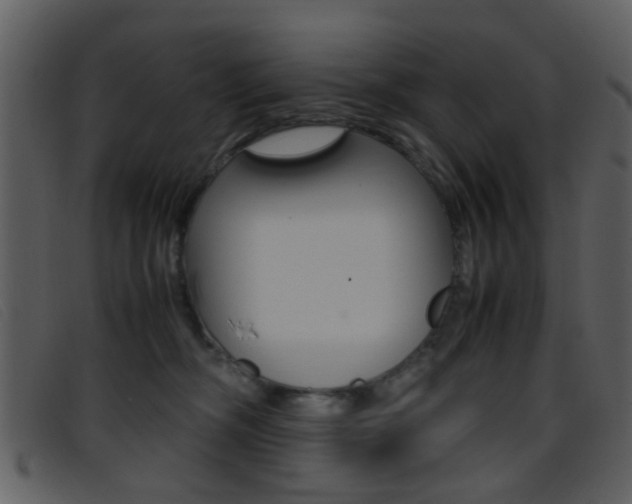X0000096650326200802050940