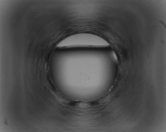 X0000096650327200802050940