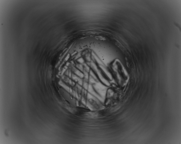 X0000096650328200802050940