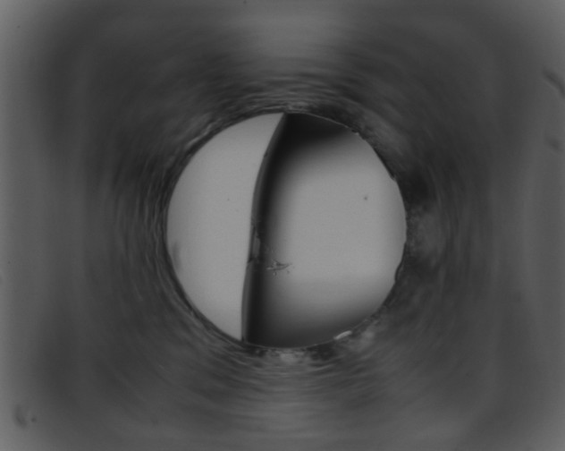 X0000096650329200802050940